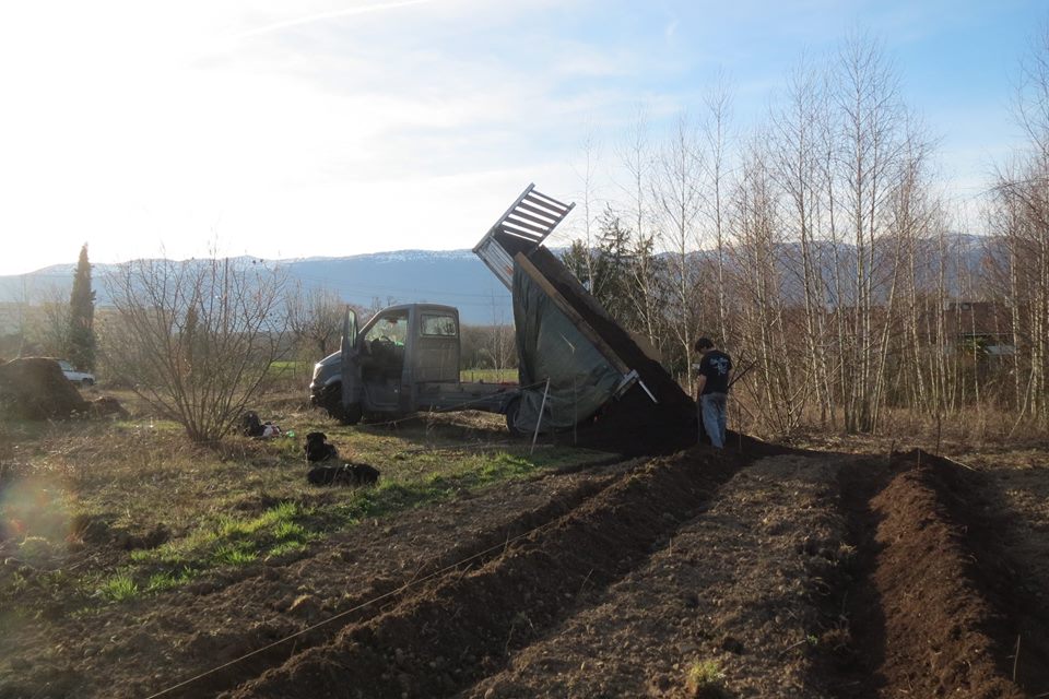 Enrichissement de la houblonnière avec du compost · Association HoublonNous, Mategnin, Meyrin, Genève